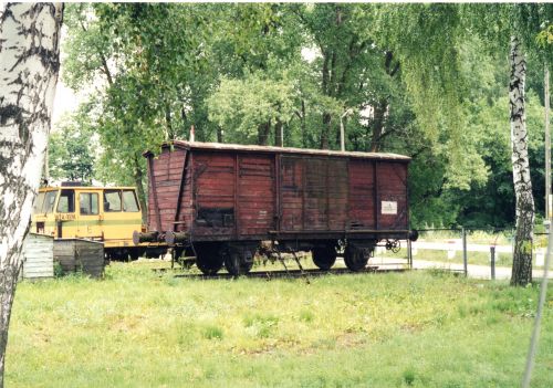 Fig 15 Malkinia Cattle Car 2002456