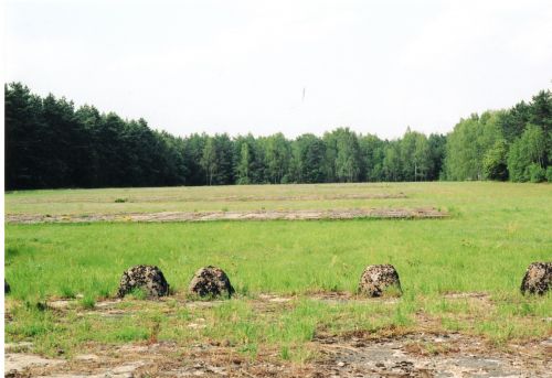 Fig 22 Treblinka Penal Camp -view 2004462