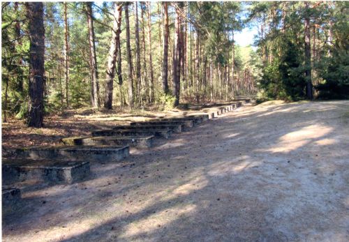 Pic 70 memorial tracks revisited698