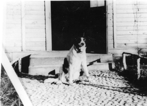 Treblinka - Barry outside german quarters