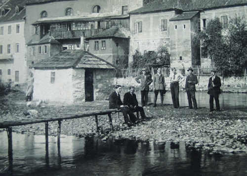 Wolf-family-and-employees-at-Vlatava-River-in-Krummau