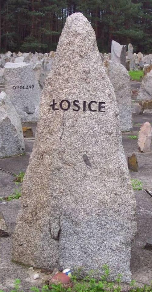 losice 9