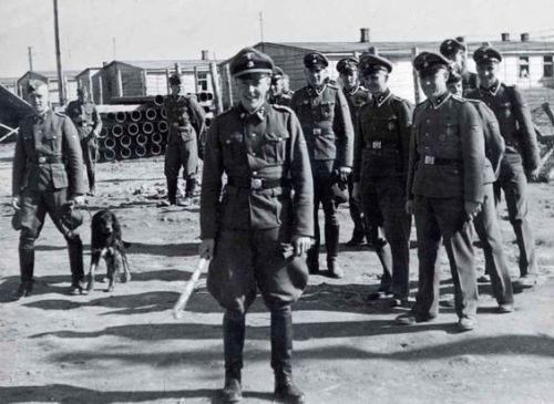 majdanek majdanek