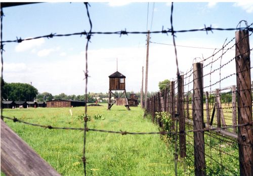 majdanek 2000640