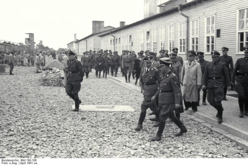 mauthausen 29
