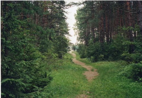 treblinka 2002 - the tube176