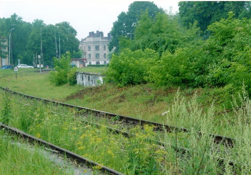 zamosc - beet platform789